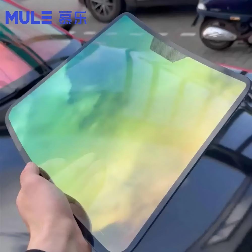 Car Glass Display Model with S - Glass Protector Auto recension och pris